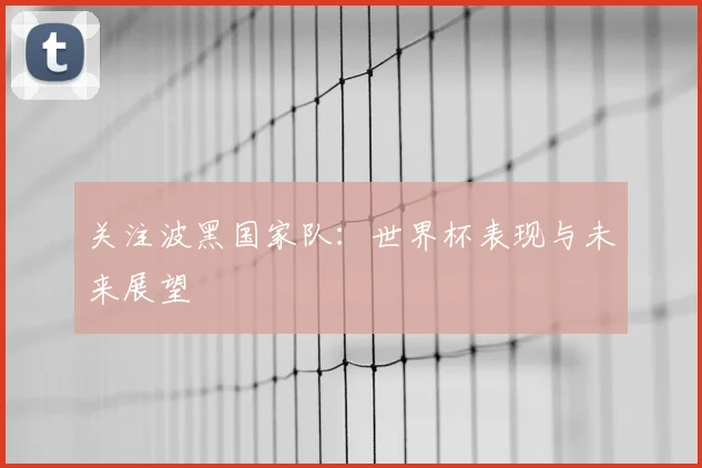 关注波黑国家队：世界杯表现与未来展望