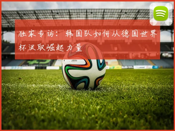 独家专访:韩国队如何从德国世界杯汲取崛起力量