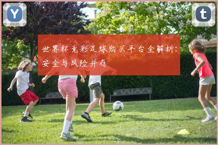 世界杯竞彩足球购买平台全解析：安全与风险并存