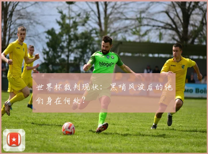 世界杯裁判现状:黑哨风波后的他们身在何处?