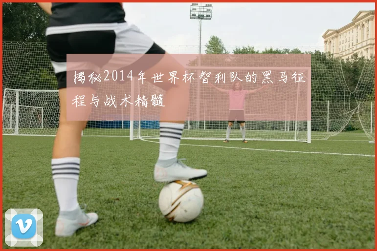 揭秘2014年世界杯智利队的黑马征程与战术精髓