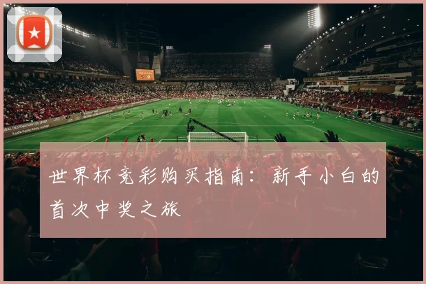 世界杯竞彩购买指南：新手小白的首次中奖之旅