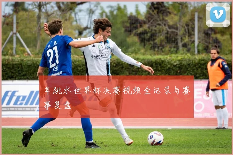 年跳水世界杯决赛视频全记录与赛事复盘