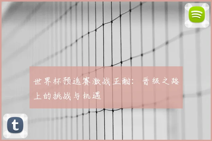 世界杯预选赛激战正酣：晋级之路上的挑战与机遇