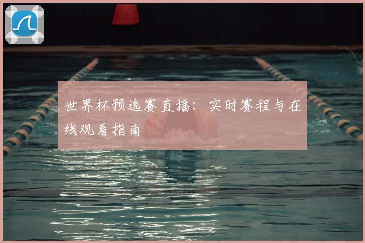 世界杯预选赛直播：实时赛程与在线观看指南