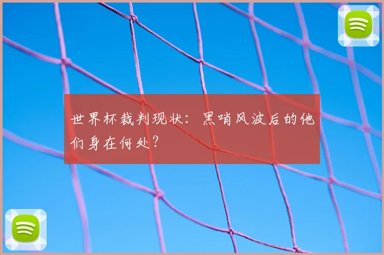 世界杯裁判现状：黑哨风波后的他们身在何处？