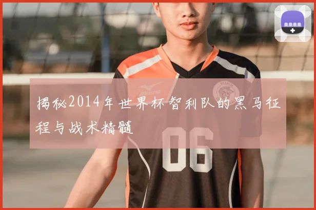 揭秘2014年世界杯智利队的黑马征程与战术精髓