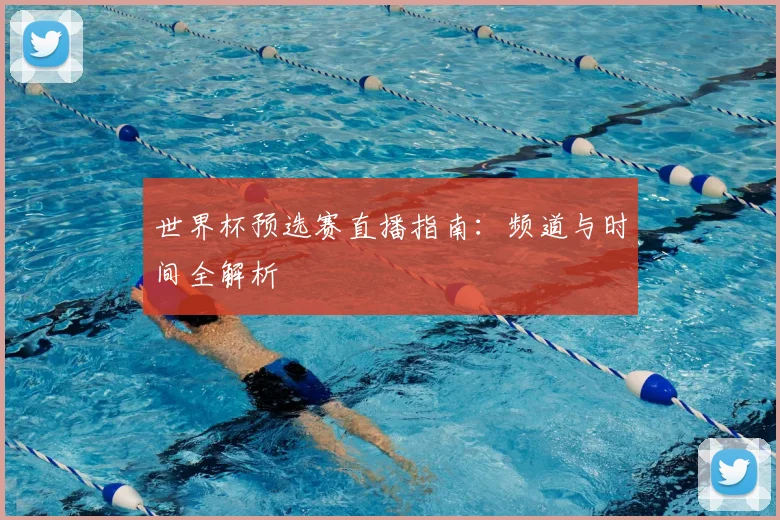 世界杯预选赛直播指南：频道与时间全解析