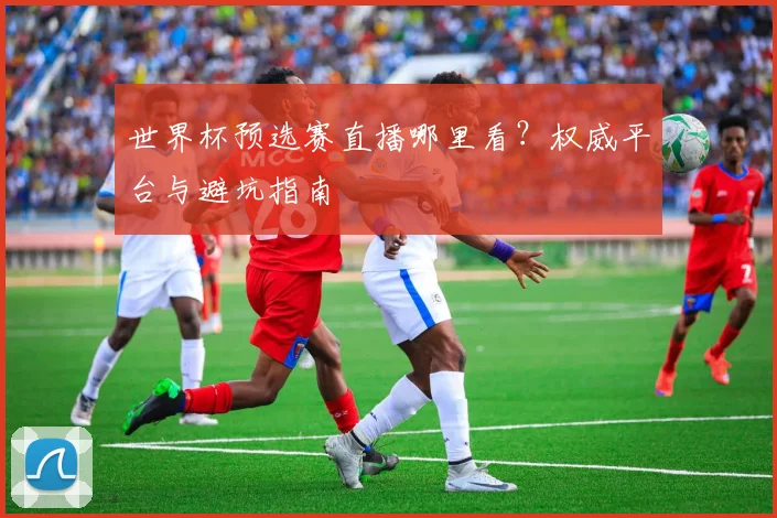 世界杯预选赛直播哪里看？权威平台与避坑指南