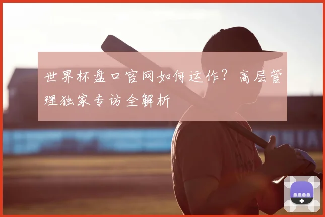 世界杯盘口官网如何运作?高层管理独家专访全解析